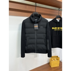 Zegna Down Jackets